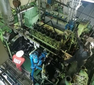 Technical Services